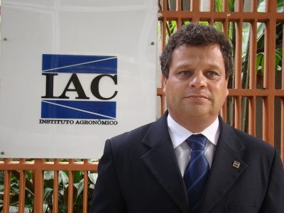 Hamilton Ramos / Divulgação