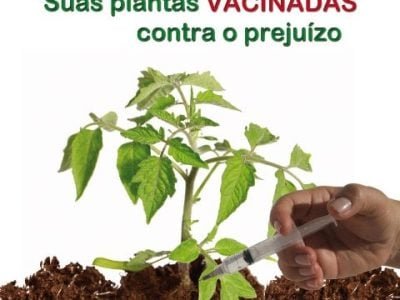 Hortifrúti julho 2011