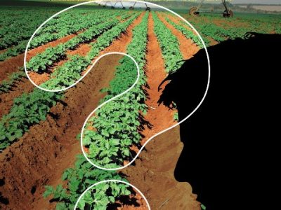 Hortifrúti fevereiro 2011