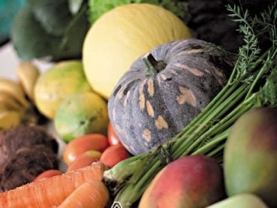 Hortifrúti junho 2011