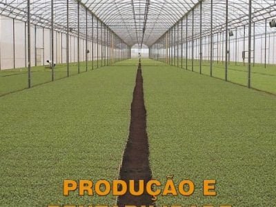 Hortifrúti novembro 2011