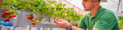 Hortivinyl2024-@MAGCOM-21 (Pequeno)