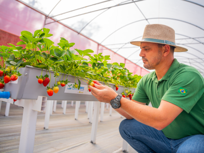 Hortivinyl2024-@MAGCOM-21 (Pequeno)
