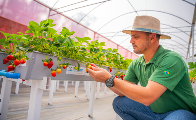 Hortivinyl2024-@MAGCOM-21 (Pequeno)