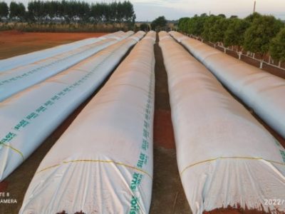 IMG-20220922-WA0049-Telefone