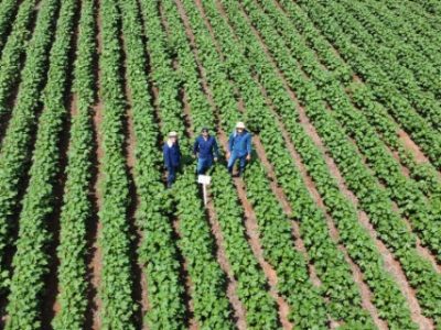 IMG-20230127-WA0024-Telefone