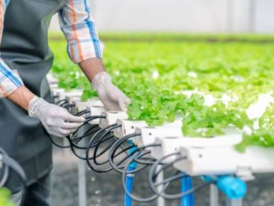 IMG-20230516-WA0033 (Telefone)