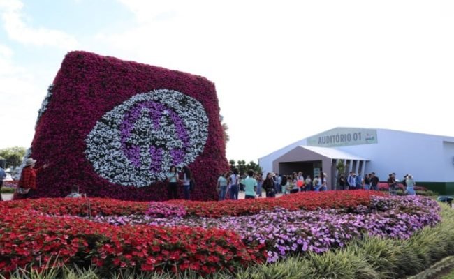 Tecnoshow COMIGO valoriza meio ambiente do paisagismo à gestão de resíduos e práticas sustentáveis
Tecnoshow COMIGO