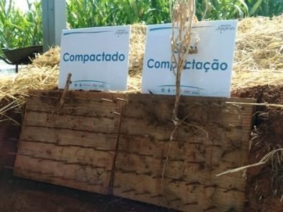 IMG_20170308_100832953