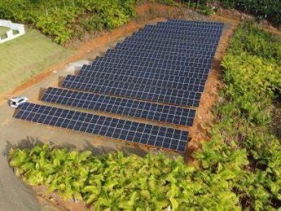 IMG_8583-semente-de-cafe-Topazio-1