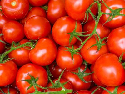 1º Encontro Tecnológico da Cultura de Tomate