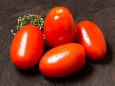 Como ter maior produtividade e rentabilidade com o cultivo de tomate?
