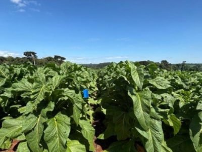 Imagem do WhatsApp de 2025-04-16 à(s) 10.00.18_7434e736 (Pequeno)