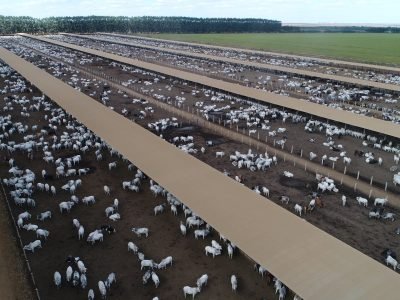 Imagem do WhatsApp de 2025-07-25 à(s) 09.04.53_986dffed