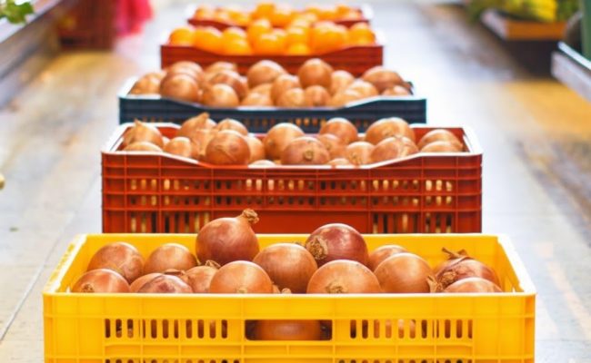 Imagem do WhatsApp de 2025-12-01 à(s) 09.09.04_9f7ea3bd