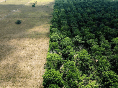 Agricultura sustentável