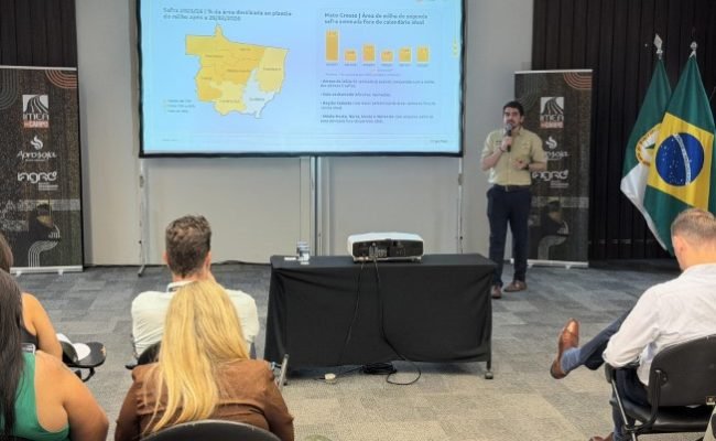 Levantamento percorreu cerca de 35 mil quilômetros e apontou produtividade de 66,03 sacas por hectare