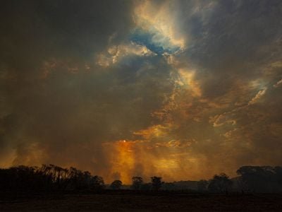 Incêndio -  Foto: Divulgação