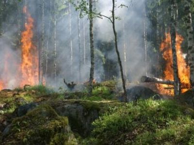 Incêndios - Crédito: Pixabay