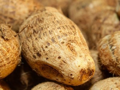 Inhame - Foto: arquivo