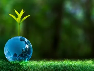 Inovação e sustentabilidade moldam o futuro das florestas plantadas