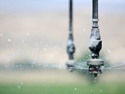 Irrigação - Crédito Shutterstock