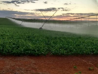 Irrigação - Foto: Divulgação