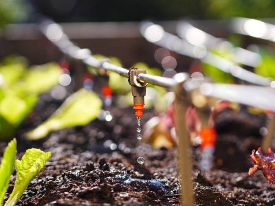 Irrigação - Créditos: Shutterstock