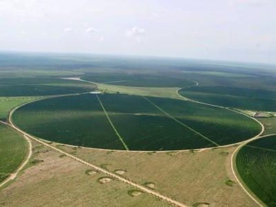 Irrigacao-29-Credito-Andre-Fernandes-04-2013