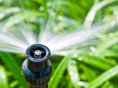 Irrigação - Crédito: Shutterstock