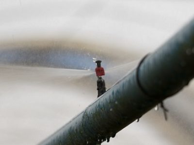 Irrigacao-por-gotejamento