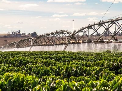 Irrigação - Crédito: Shutterstock