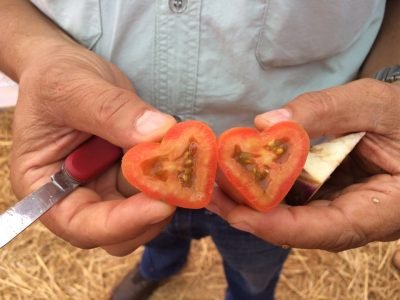 Isla-Expoagro-Créditos-Divulgação-1