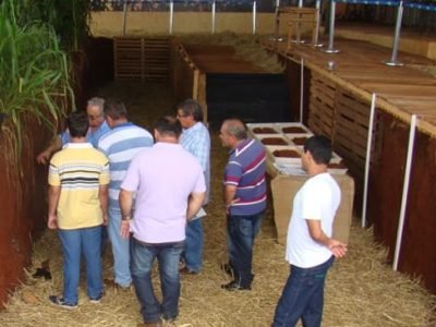 Júlio Salton mostra a produtores raízes desenvolvidas em solo de qualidade