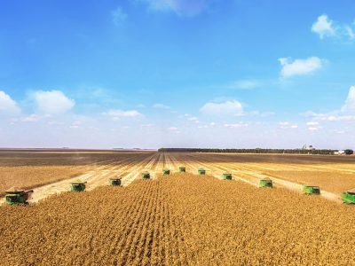 KWS- Foto: Divulgação