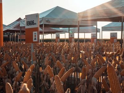 KWS Brasil está presente no Show Rural Coopavel