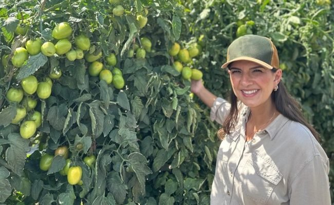 Diretora de operações do Grupo Batista, agrônoma Kelly Batista fala sobre sua experiência com o tomate Turim, da TSV Sementes, e sobre a atuação das mulheres no agronegócio
Agristar do Brasil