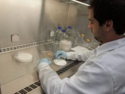 Laboratório Bayer