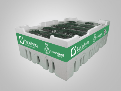 Lançamento_DaColheita_Conservadora_Cumbucas_2 (Médio)