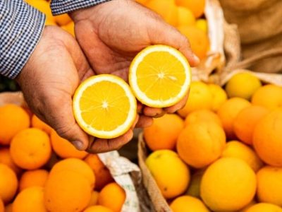 Laranja-creditos-BASF-Telefone