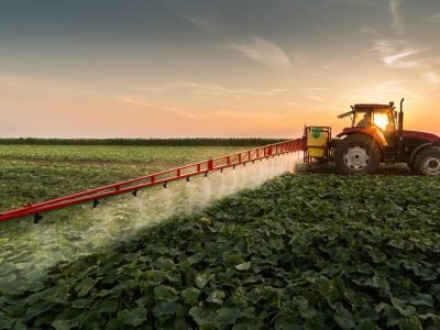 Lavoura - Crédito Nilton Fritzons Sanches