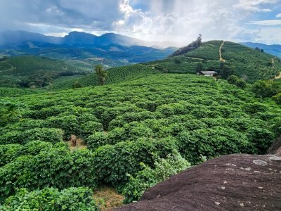 Fotos: Diego Vargas/Seapa