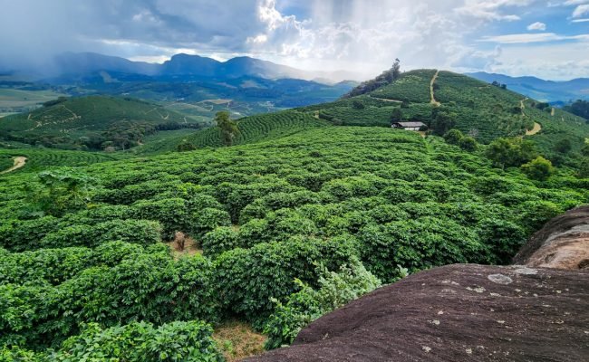 Fotos: Diego Vargas/Seapa