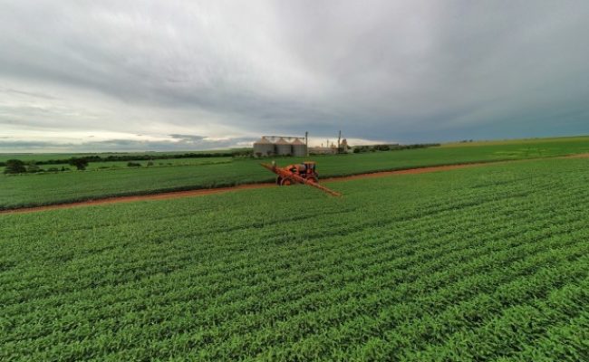 Lavoura-de-soja-Editada (Pequeno)