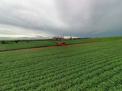 Lavoura-de-soja-Editada (Pequeno)