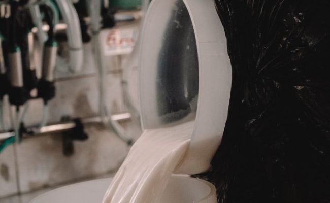 Foto: Isabele Kleim, Divulgação