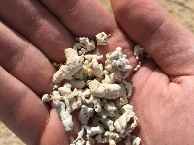 Lithothanium in natura