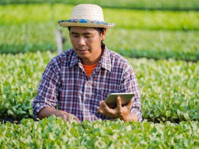 Loja-virtual-para-agricultores-criar-um-canal-de-vendas-online-1