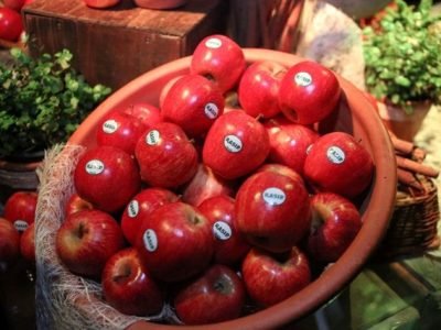 MAÃ‡ÃƒS-RASIP-Foto-João-Carlos-Lazzarotto-