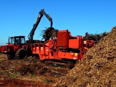 MAIS FLORESTA - Biomassa para Energia - foto Paulo Cardoso (53)